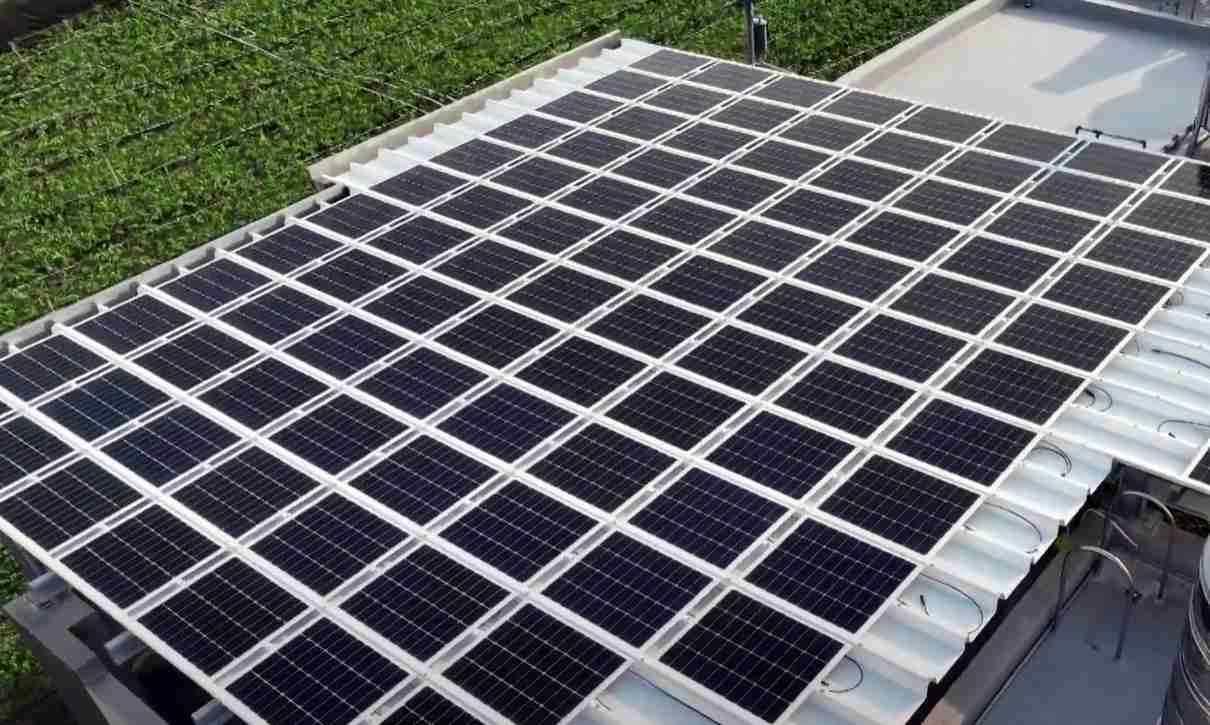 2121非凡SunSteel光电浪板升级双玻结构，，以提升机械负载强度及气候耐候度，，可广泛运用于多元场域